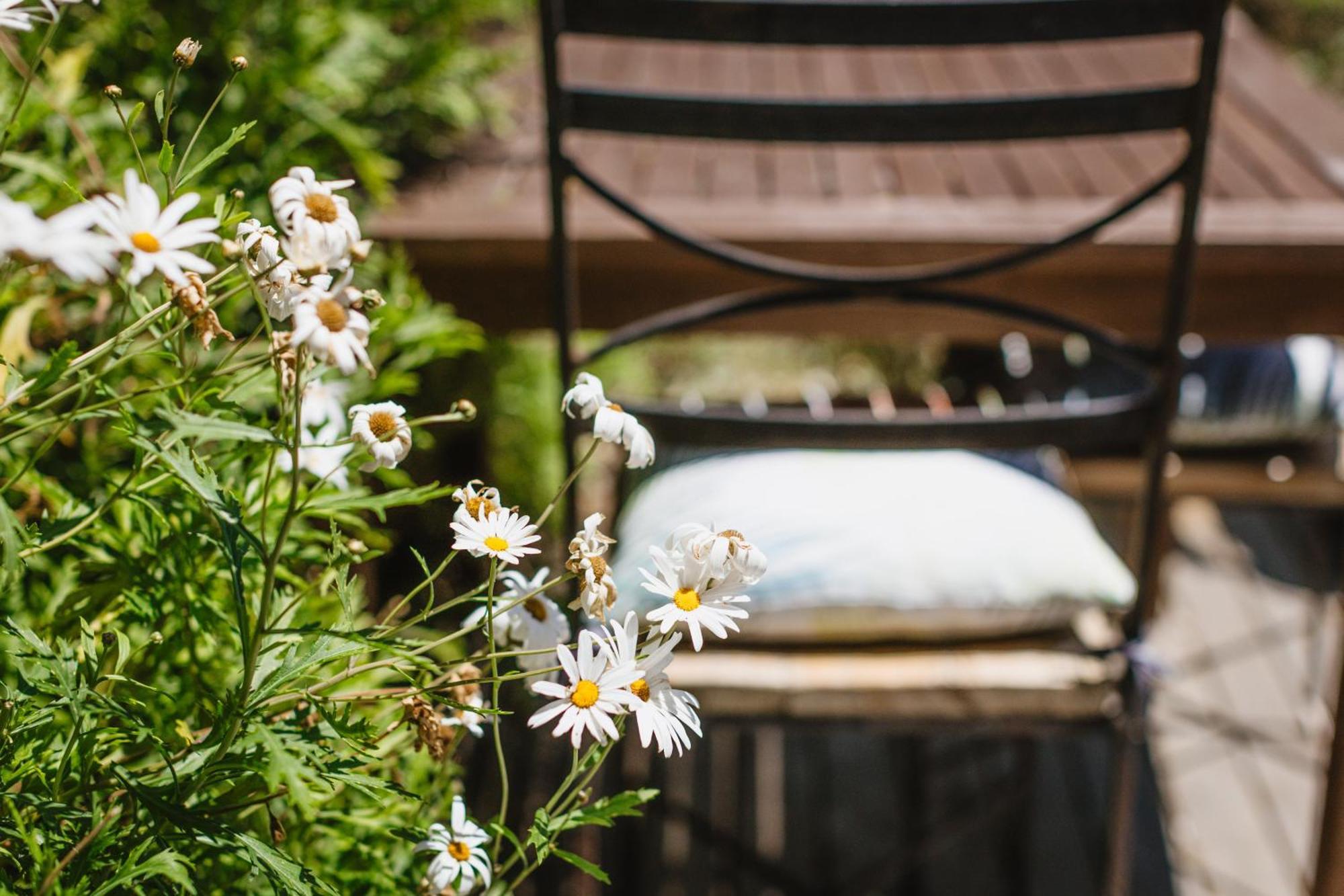 Haumoana Herb Cottage Екстер'єр фото
